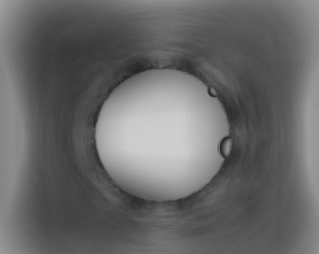 X0000113890865200910011321