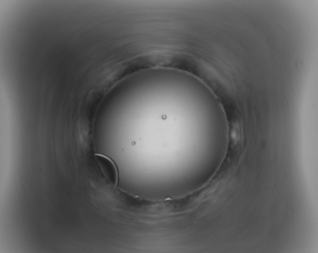 X0000113890867200910011321