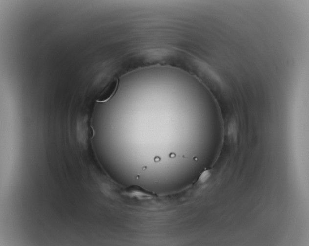 X0000113890868200910011321