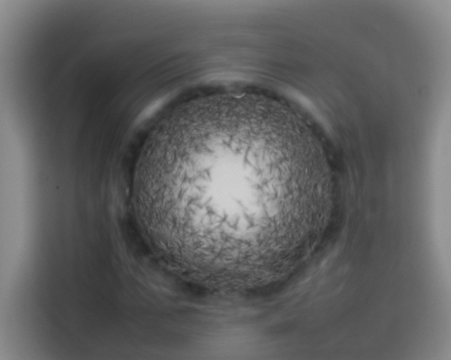X0000113890871200910011320