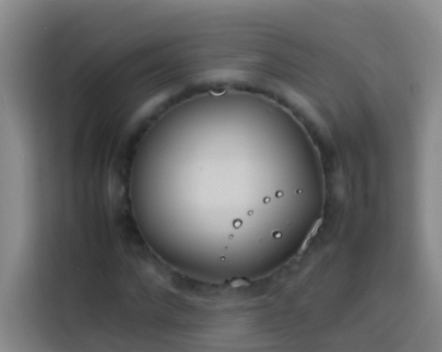 X0000113890872200910011320