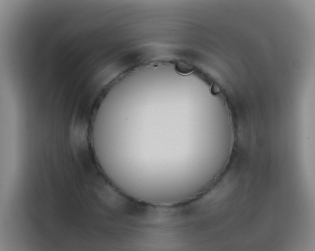 X0000113890873200910011320