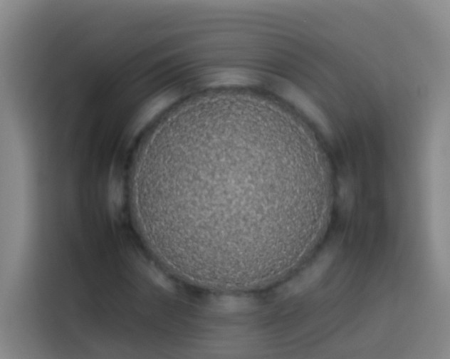 X0000113890874200910011320