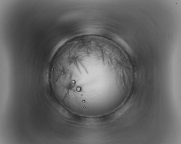 X0000113890875200910011320