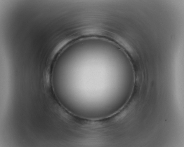 X0000113890877200910011320