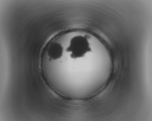 X0000113890878200910011320