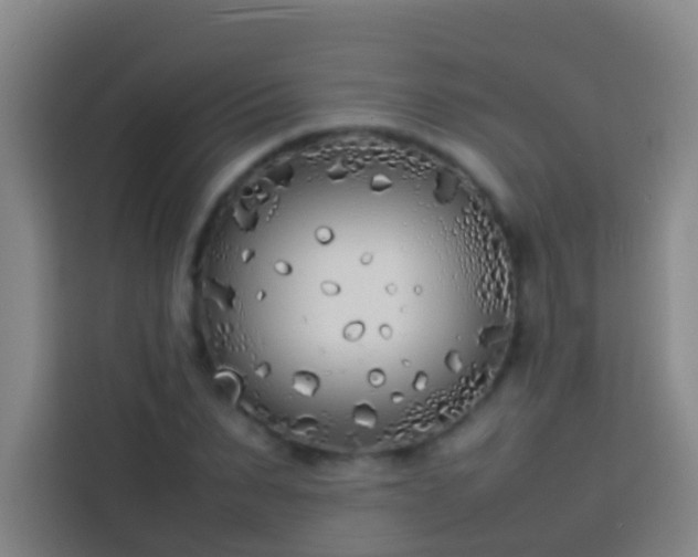 X0000113890879200910011320