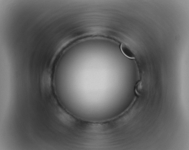 X0000113890880200910011320