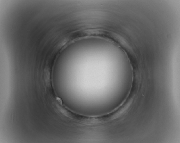 X0000113890881200910011320