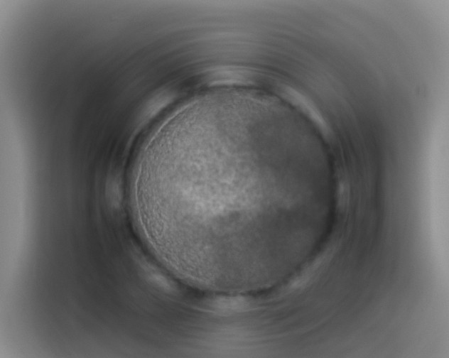 X0000113890882200910011320