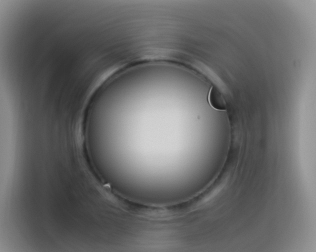 X0000113890885200910011320