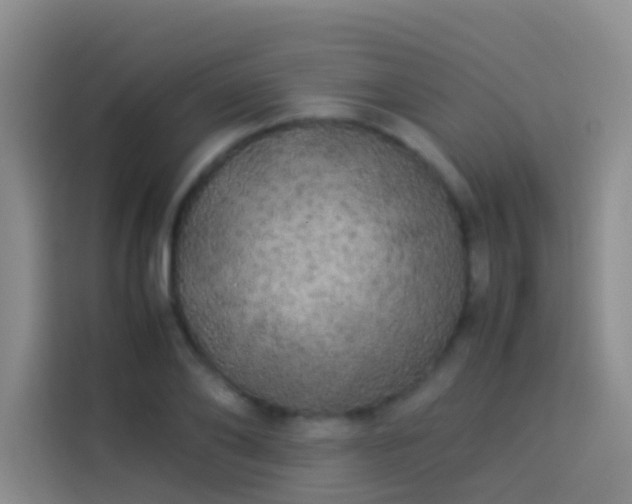 X0000113890886200910011320