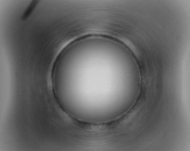 X0000113890887200910011320