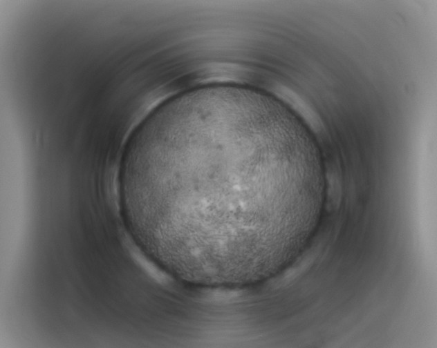 X0000113890890200910011320