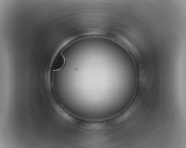 X0000113890892200910011320