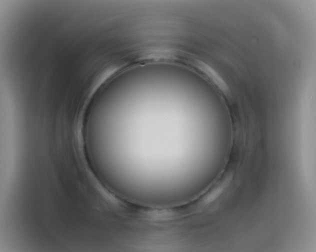 X0000113890893200910011320