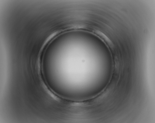 X0000113890894200910011320