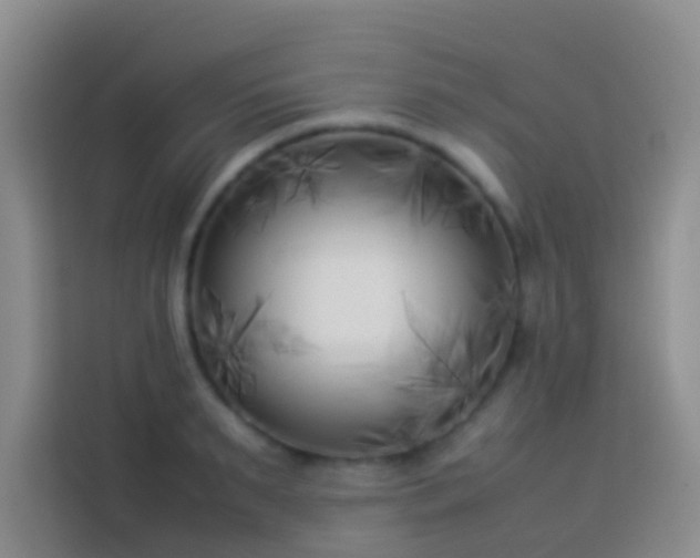 X0000113890895200910011320