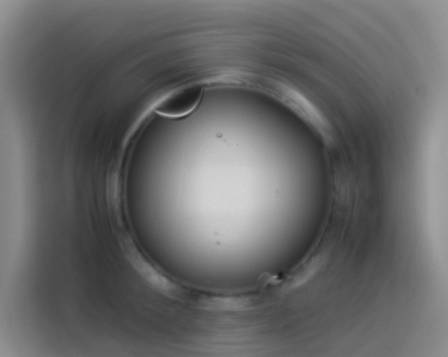 X0000113890900200910011320