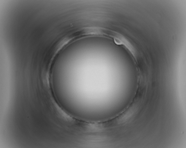 X0000113890901200910011320