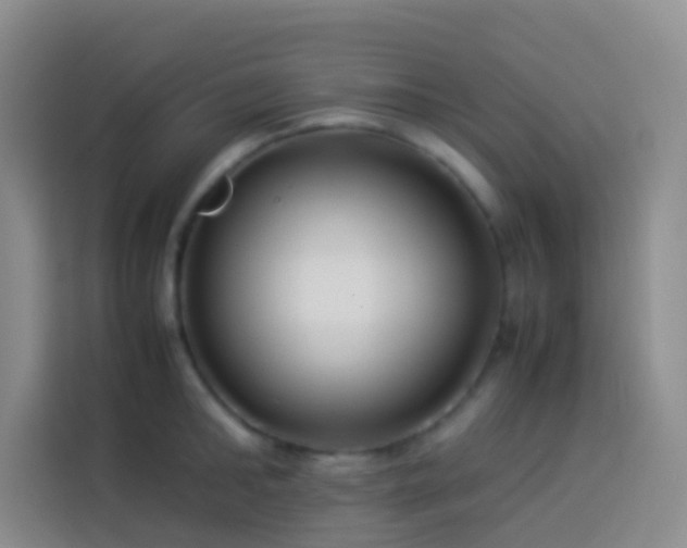 X0000113890902200910011320