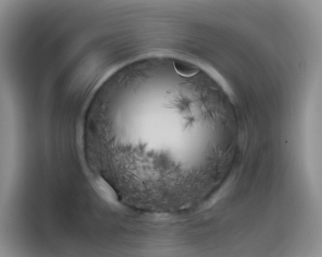X0000113890903200910011320