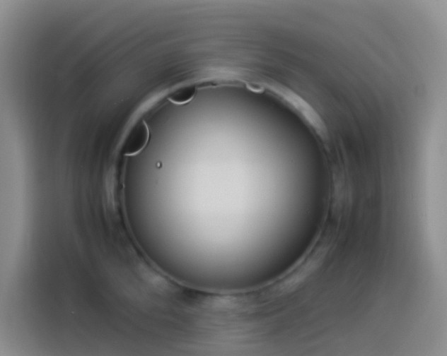 X0000113890904200910011320