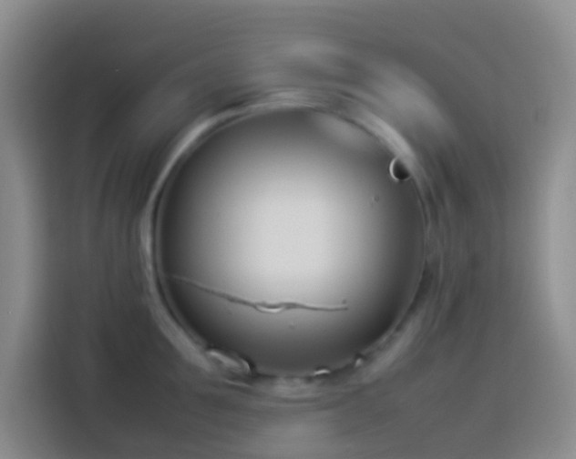 X0000113890907200910011320