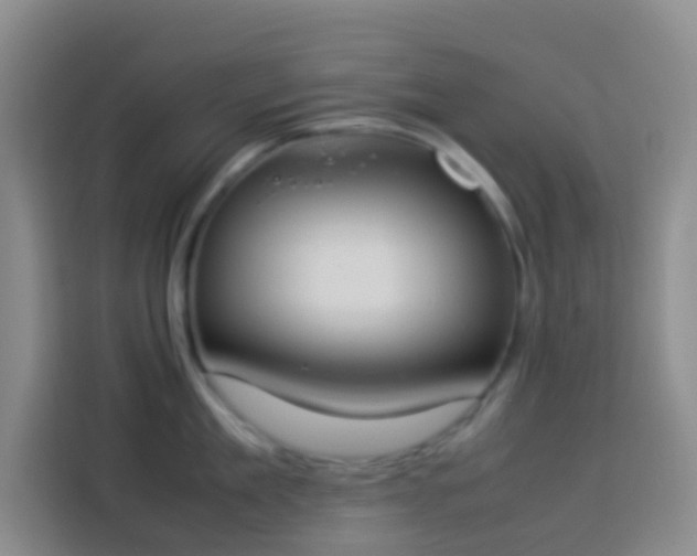 X0000113890909200910011320