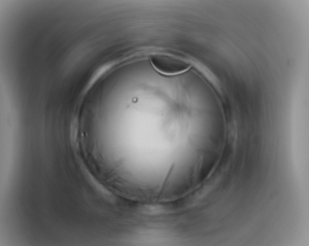 X0000113890911200910011320