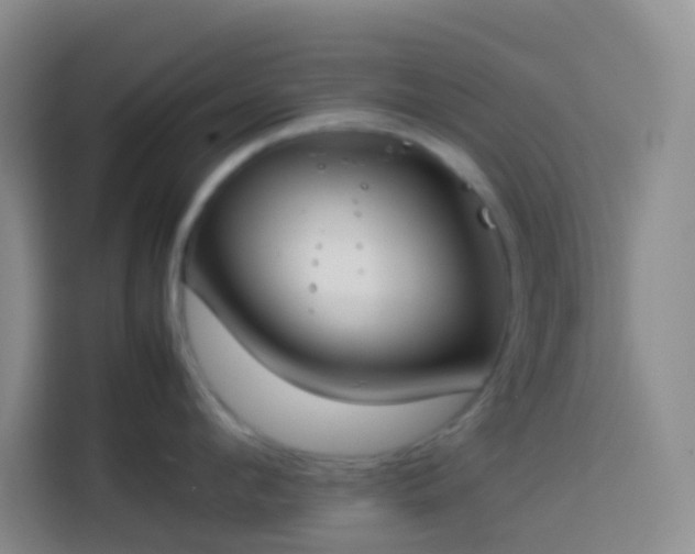 X0000113890912200910011320