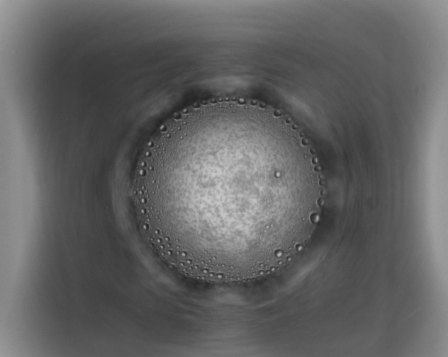 X0000113890913200910011319