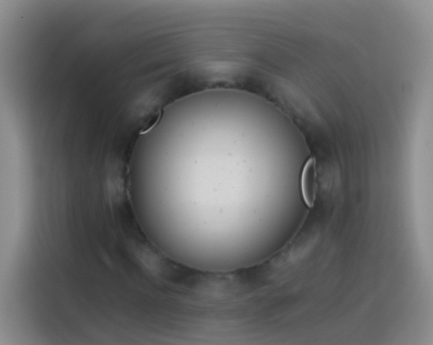 X0000113890916200910011319