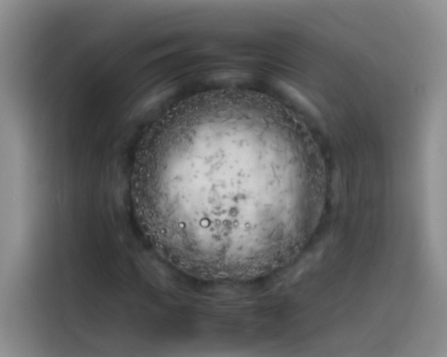 X0000113890917200910011319