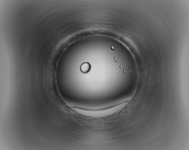 X0000113890920200910011319