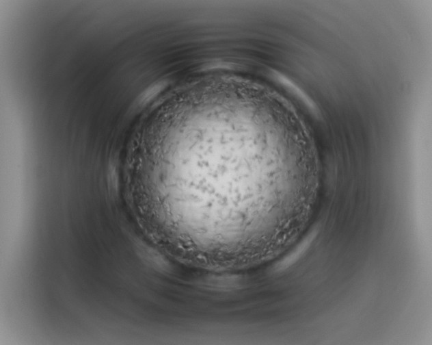 X0000113890921200910011319