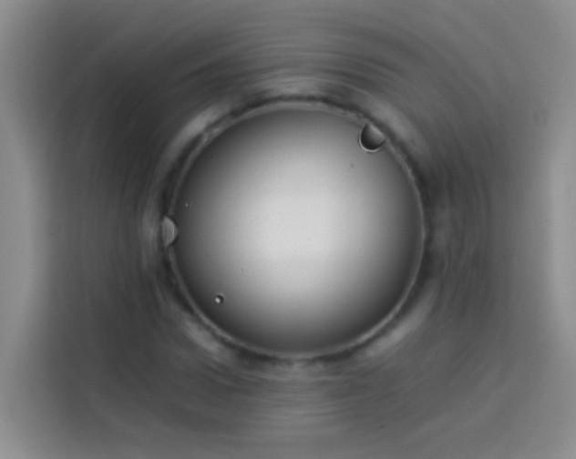 X0000113890922200910011319