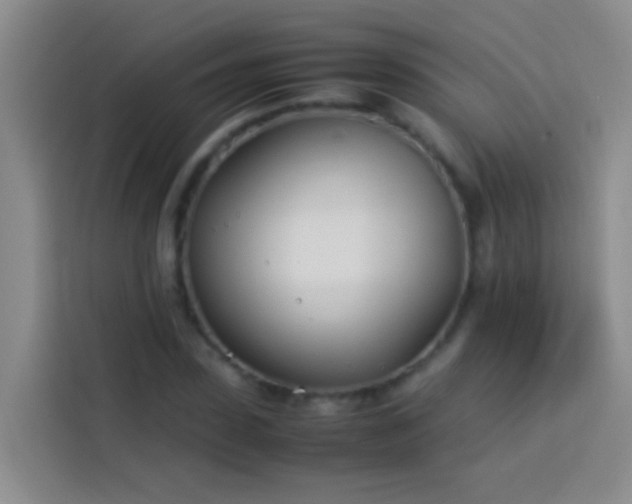 X0000113890923200910011319