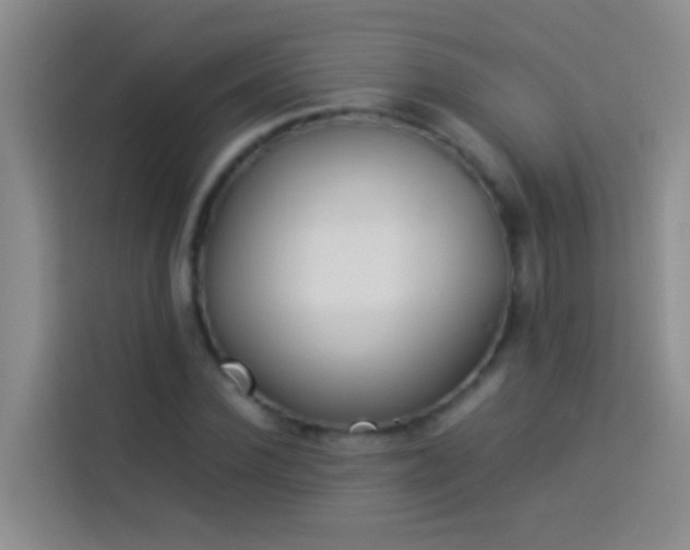 X0000113890924200910011319