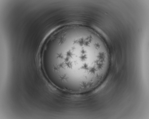 X0000113890925200910011319