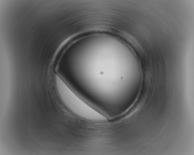 X0000113890926200910011319