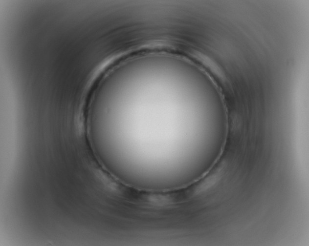 X0000113890927200910011319