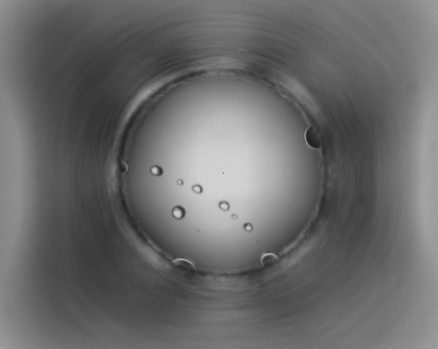 X0000113890928200910011320