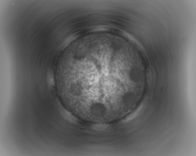 X0000113890929200910011320