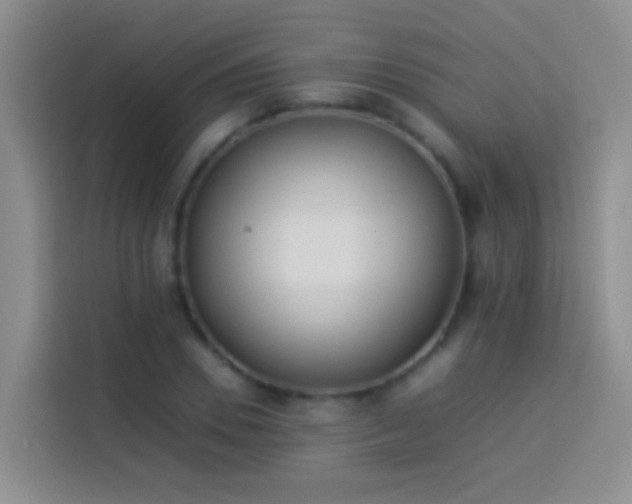 X0000113890930200910011320