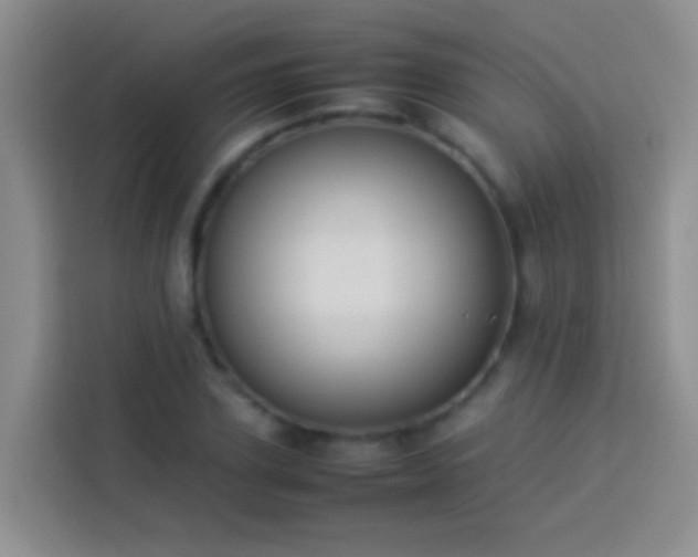 X0000113890931200910011320