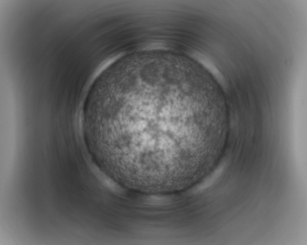 X0000113890933200910011320