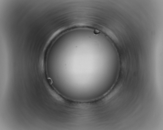 X0000113890934200910011320