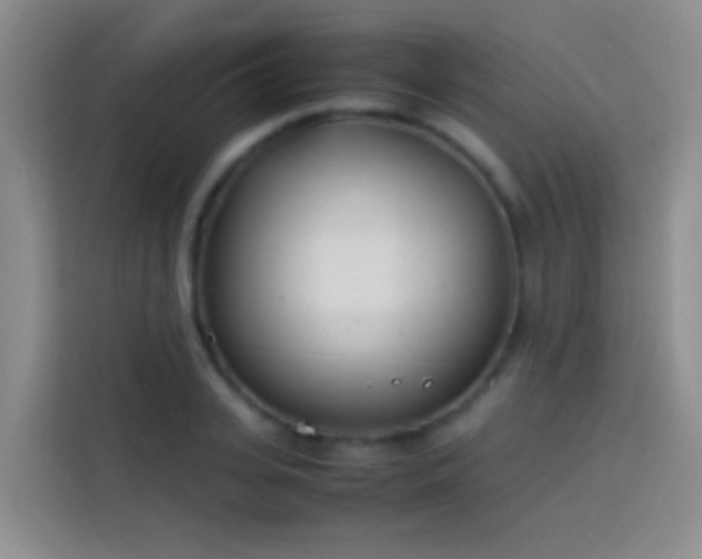 X0000113890935200910011320