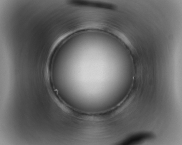 X0000113890936200910011320